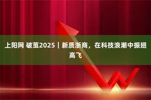 上阳网 破茧2025｜新质浙商，在科技浪潮中振翅高飞