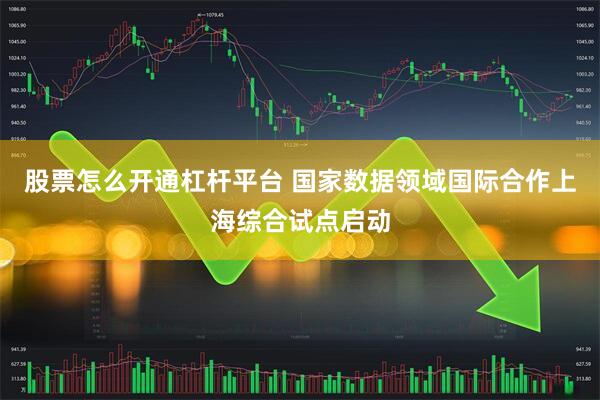 股票怎么开通杠杆平台 国家数据领域国际合作上海综合试点启动