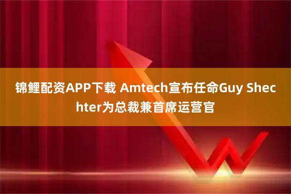 锦鲤配资APP下载 Amtech宣布任命Guy Shechter为总裁兼首席运营官